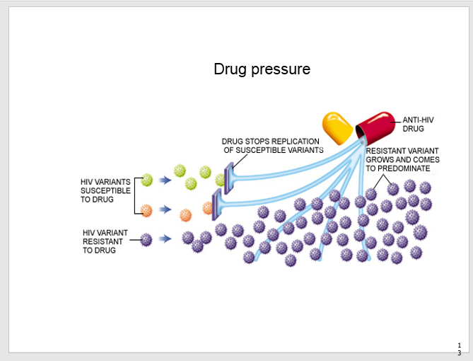 Prophets Fueling HIV Drug Resistance HealthTimes