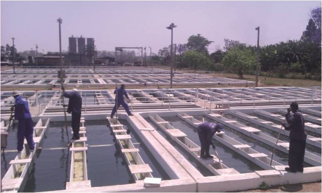 20131007 mortonjaffraywaters 659x395 1