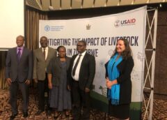 USAID, FAO launches US$2.7 million fund for livestock diseases fight in Zim