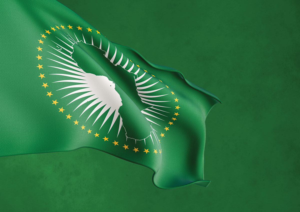 Africa CDC flag representing the continental public health agency responding to cholera outbreaks in Africa