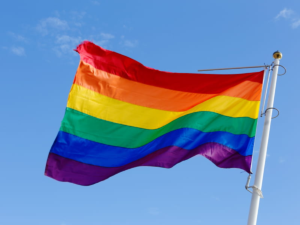 GBTIQ rainbow flag symbol representing organisations working on sexual rights and gender diversity affected by Zimbabwe PVO Board registration decisions