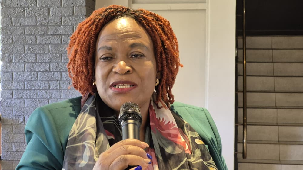 Ms Shylet Sanyanga, CEO of the Association of Healthcare Funders of Zimbabwe, speaking on proposed SI 330 amendments affecting medical aid coverage