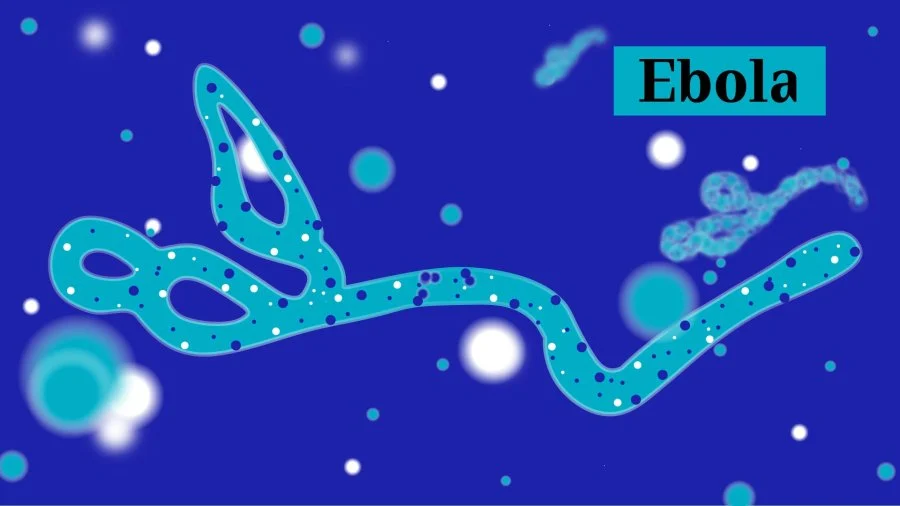 Bundibugyo Ebola outbreak in DRC and Uganda – where are the vaccines?