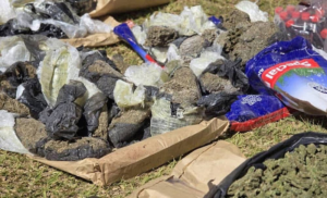 Illegal drugs and illicit substances recovered during a raid at a drug base in Zimbabwe