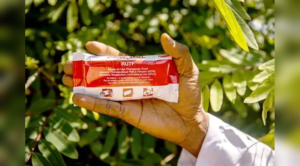 Hand holding Ready-to-Use Therapeutic Food (RUTF) used to treat severe acute malnutrition in children in Zimbabwe