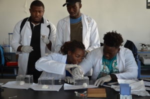 Zimbabwean Students Find a Home Away from Home at Texila American University Zambia 1 students