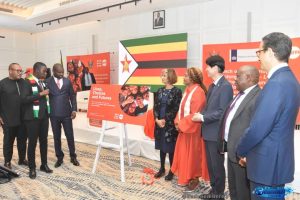 Young Zimbabweans Still Want Families, but Poverty and Limited Reproductive Choices Are Delaying Parenthood
