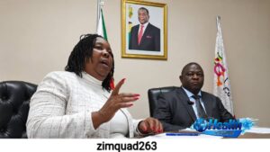 Virginia Muwanigwa, CEO of the Zimbabwe Gender Commission (ZGC), speaking about the 90-day national campaign against intimate partner violence.